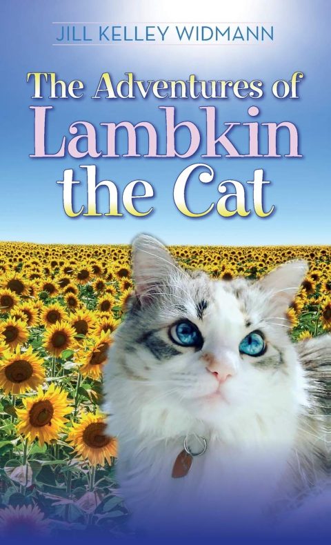 Home - Lambkin the Cat